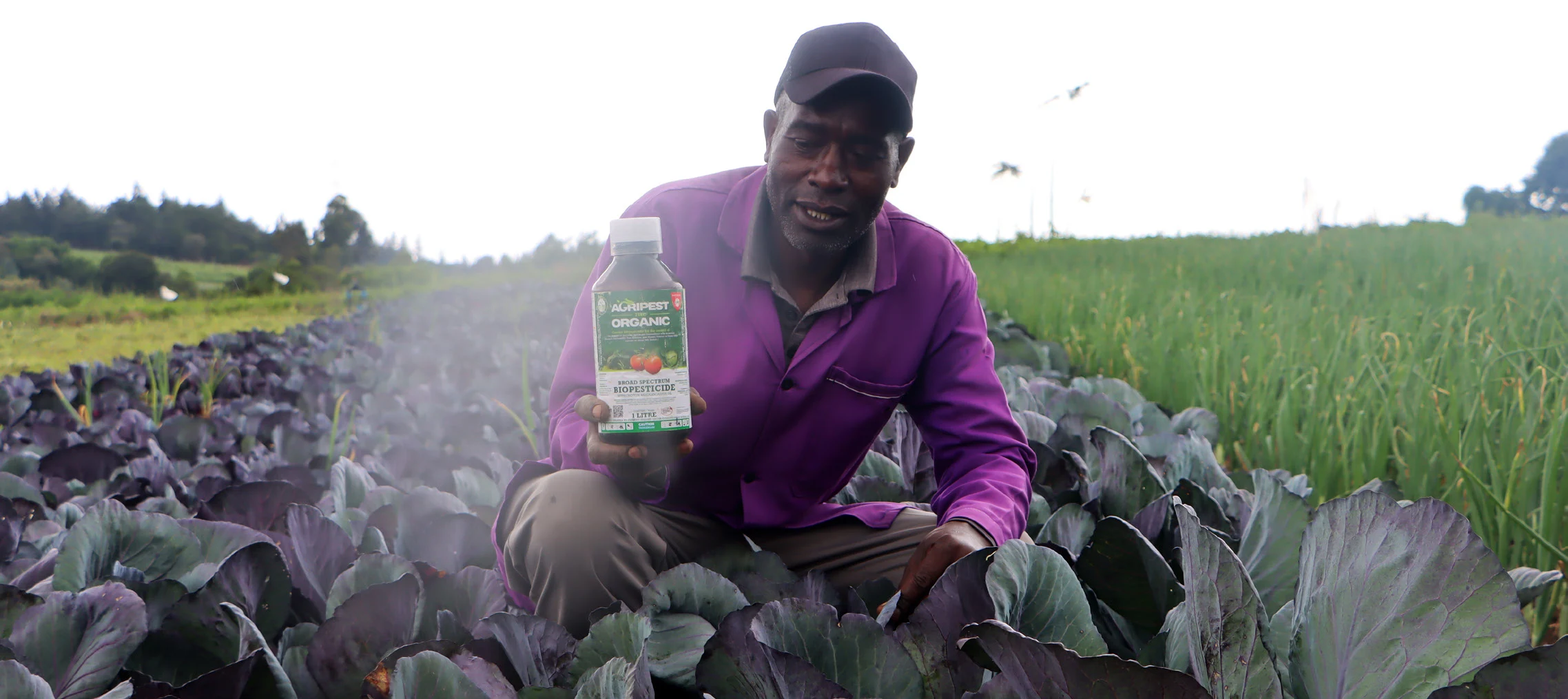 Agripest Organic 75 EC farmers’ new organic solution against common ...